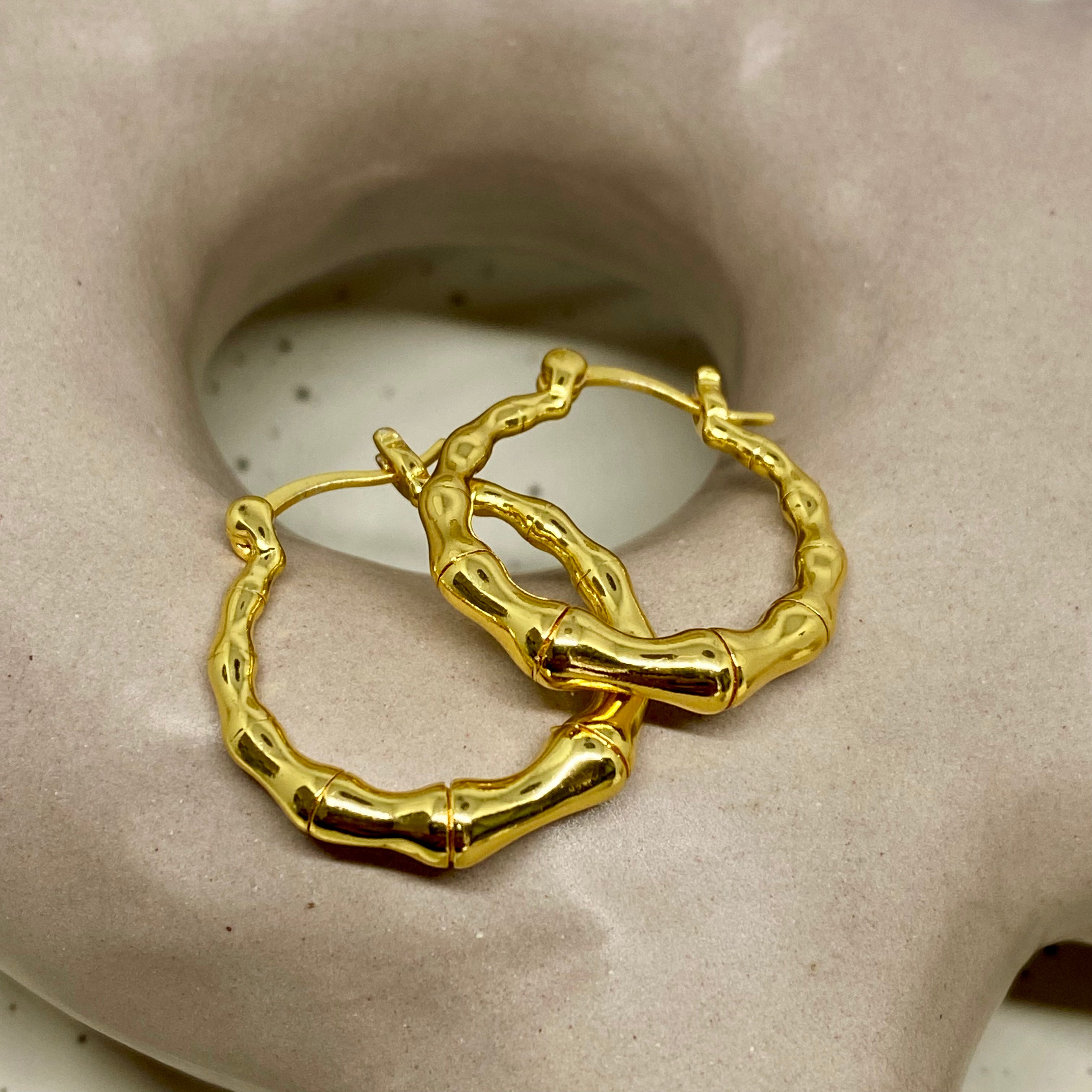 Bamboo Hoop Earring - 46