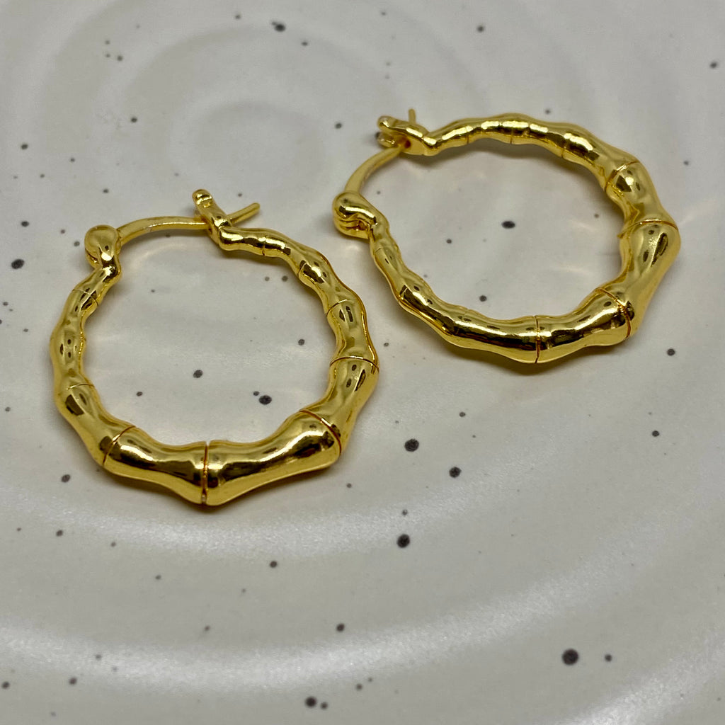 Bamboo Hoop Earring - 46