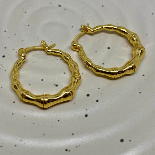 Bamboo Hoop Earring - 46